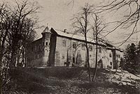 Dbno - Zamek w Dbnie na zdjciu z 1915 roku