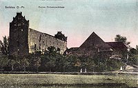 Dziadowo - Zamek w Dziadowie na zdjciu z 1912 roku