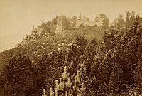 Janowice Wielkie - Ruiny zamku Bolczw na zdjciu Roberta Halma z 1890 roku