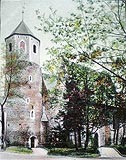 Strzelin - Zamek w Strzelinie na zdjciu z lat 1900-03