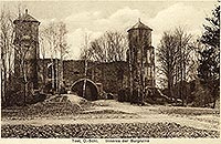 Toszek - Zamek w Toszku na pocztwce z 1924 roku
