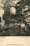 Sobie - Ruiny zamku na pocztwce z okoo 1900 roku