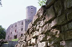 Zamek Lipowiec w Babicach