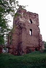 Zamek w Borysawicach